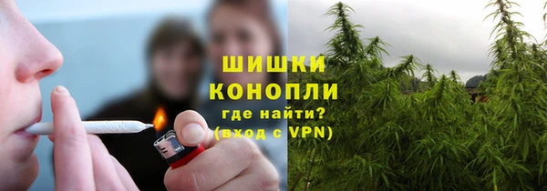 ПСИЛОЦИБИНОВЫЕ ГРИБЫ Грязовец